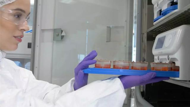 圖片來源:Emulate官網(wǎng) 圖片來源:Emulate官網(wǎng)