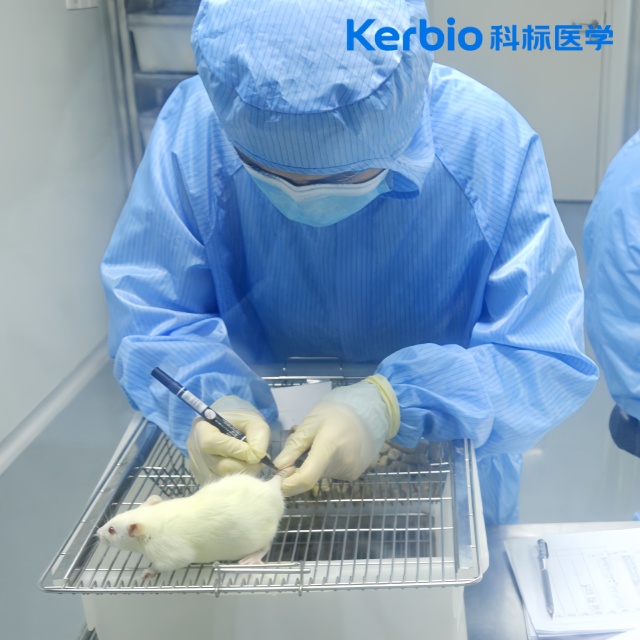 2441731308272757.jpg 大鼠_副本.jpg